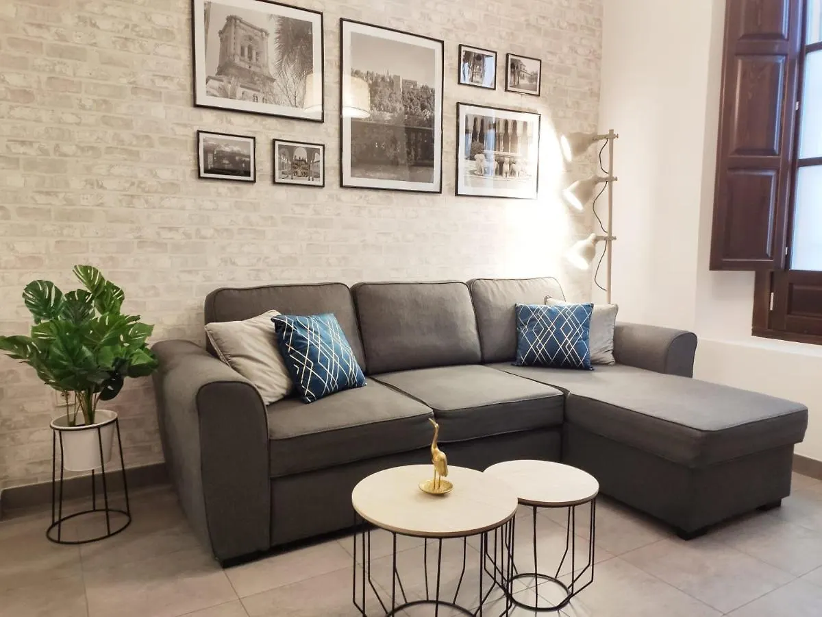 Cozy Flat Granada Cathedral Apartment